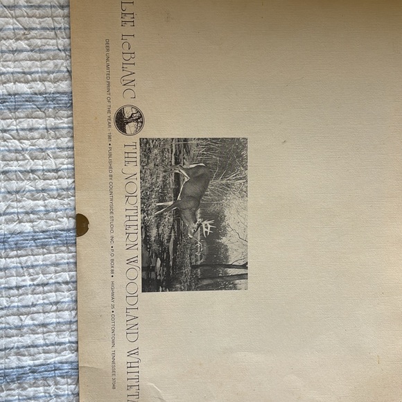 Lee Le Blanc 1981 Northern Woodland Whitetail Stamp, Print, Signed, Numbered - Picture 9 of 12